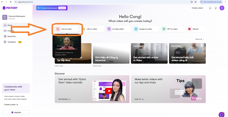 Giao diện chính của công cụ Pictory AI, với tùy chọn 'Text to Video' được khoanh đỏ để bắt đầu quá trình tạo video từ kịch bản.

