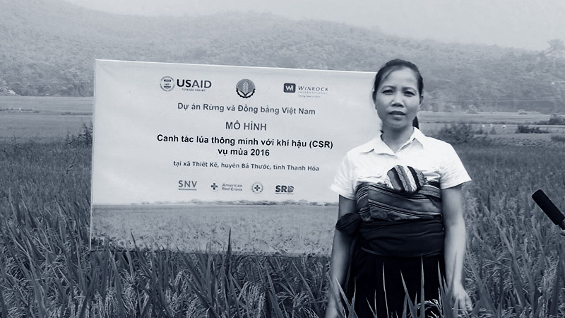 Đội ngũ Adcentral chuẩn bị phỏng vấn người nông dân về mô hình canh tác lúa thông minh tại Bá Thước, Thanh Hóa, trong khuôn khổ dự án của USAID và Winrock International.